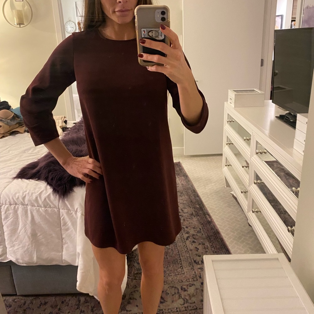 Express Cute Burgundy Dress